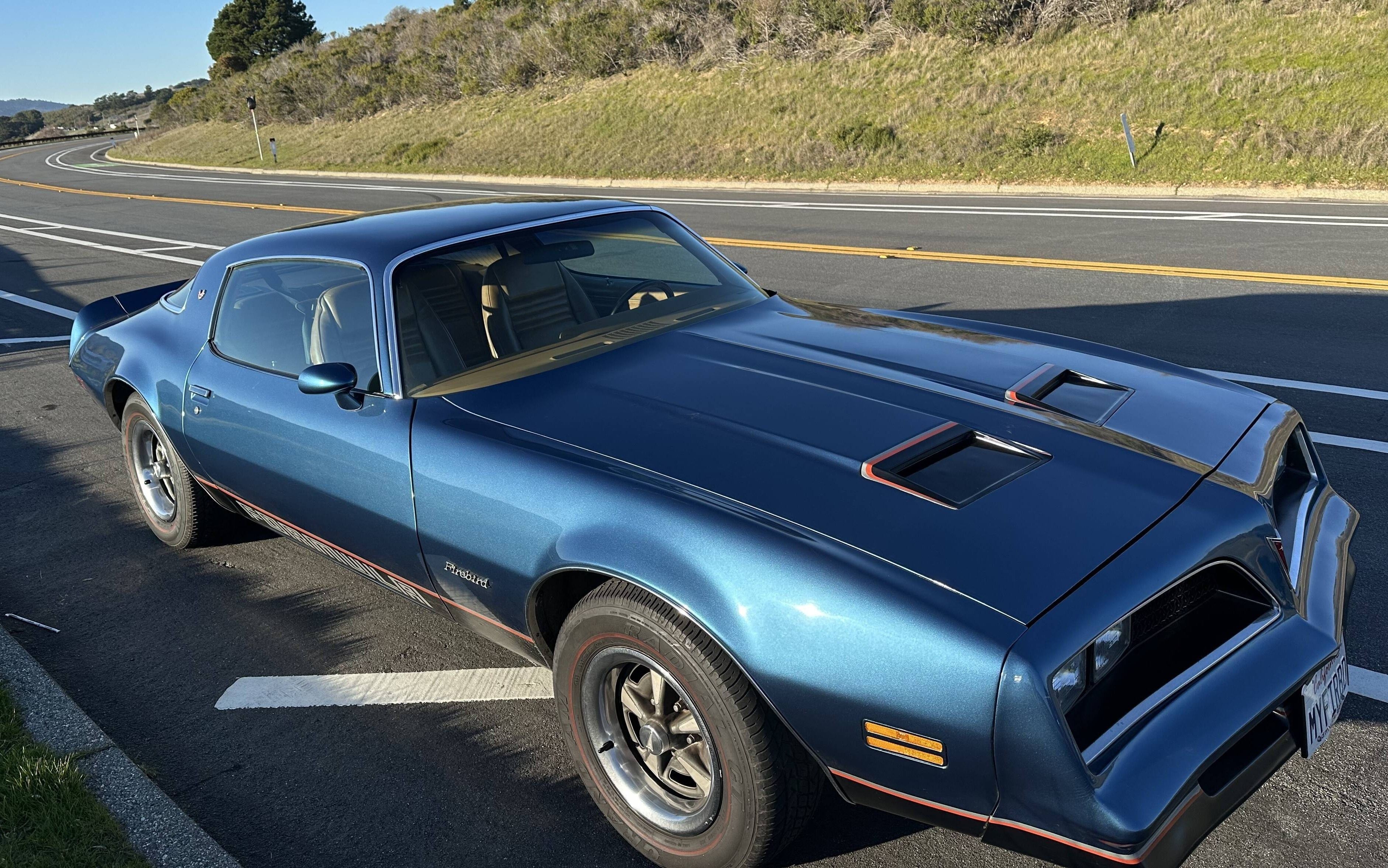 Sold - Refurbished 1978 Pontiac Firebird Formula | Hemmings