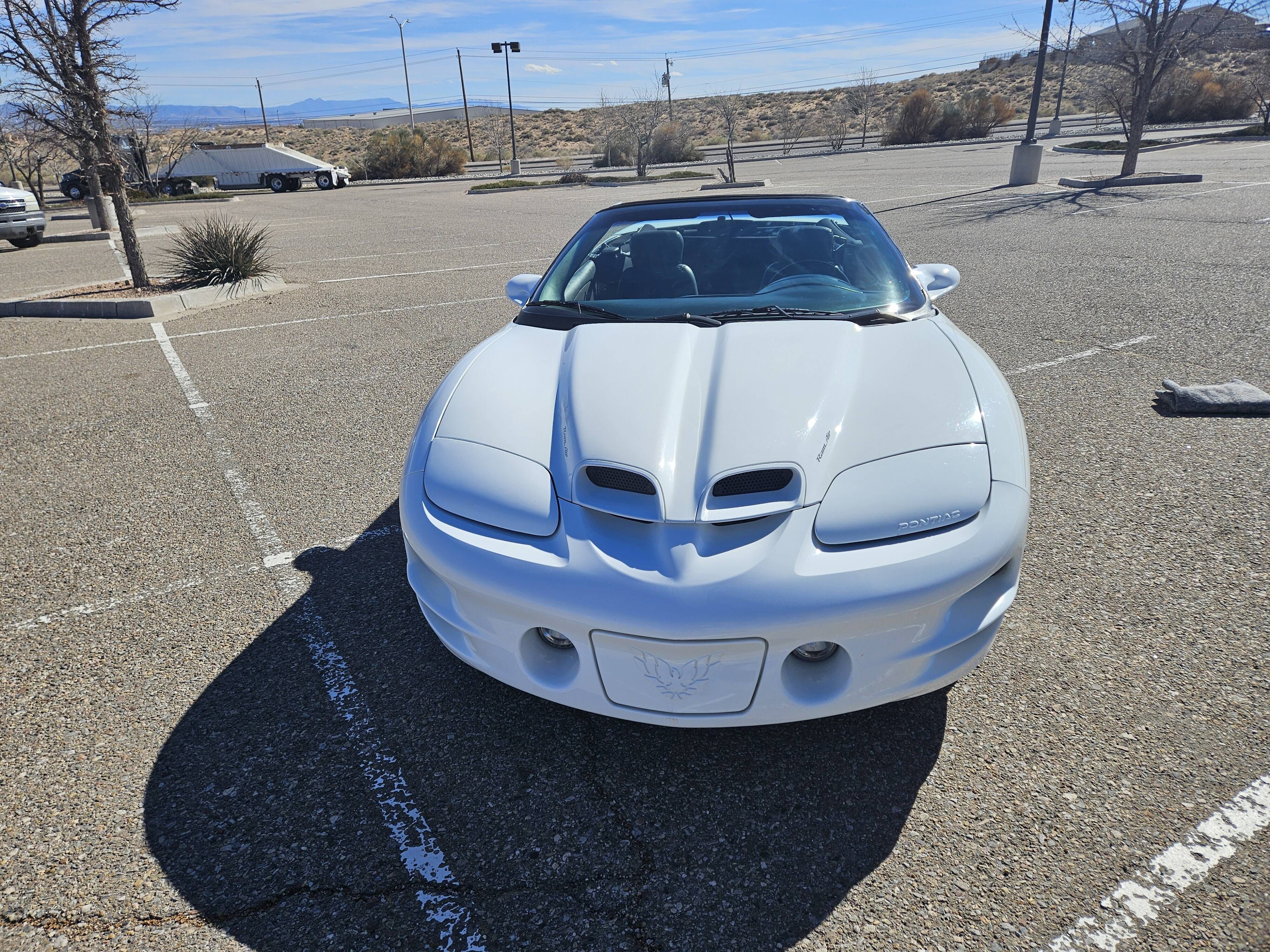 Sold - Low-Mileage 1998 Pontiac Firebird Trans Am WS6 Convertible