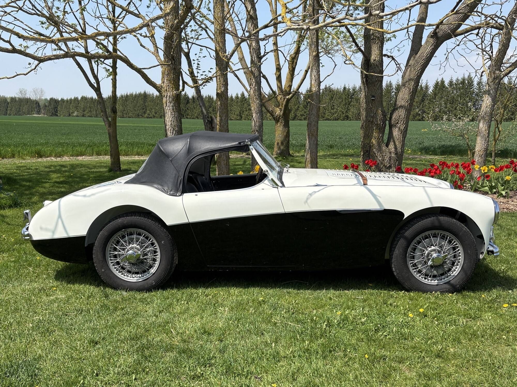 マロンハリー Beautifully Restored 1956 Austin-Healey 100M With Heritage