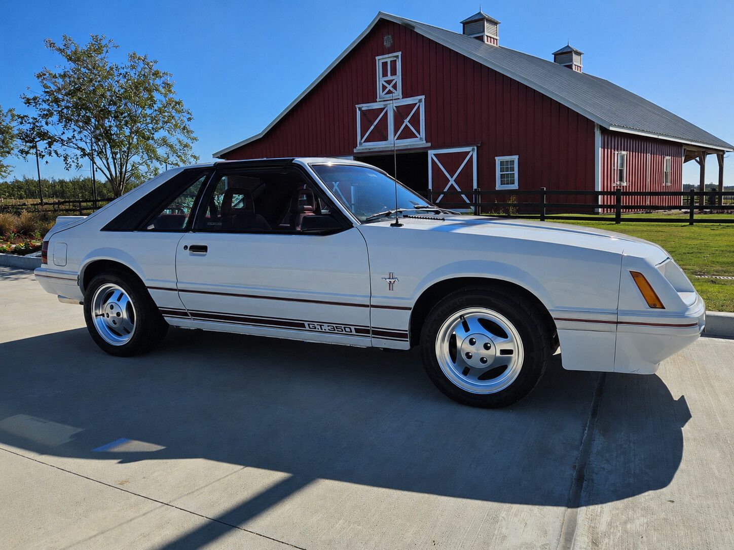 True Survivor: 1984-1/2 Ford Mustang GT350 Anniversary Edition 5.0
