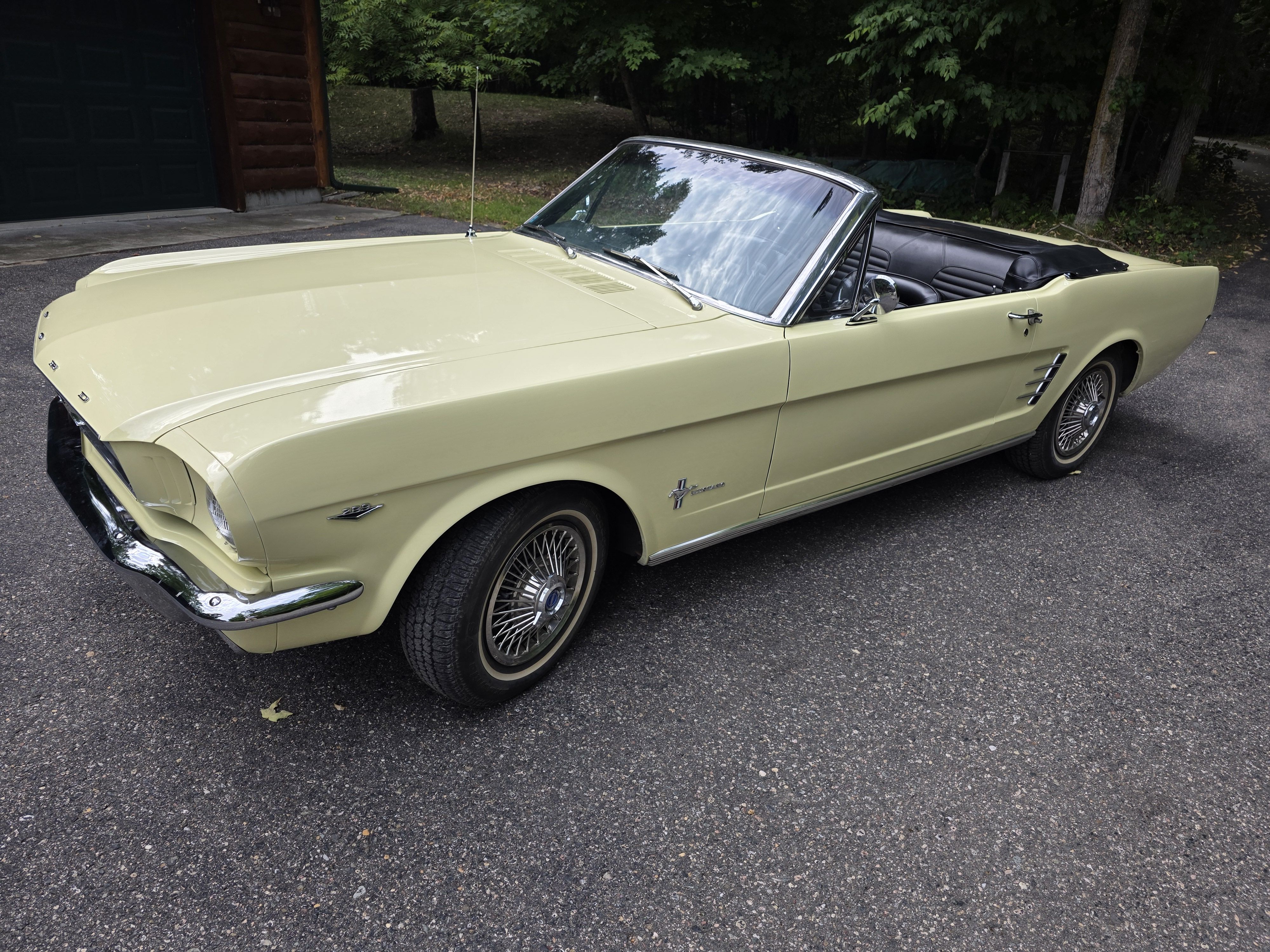 1966 Ford Mustang
