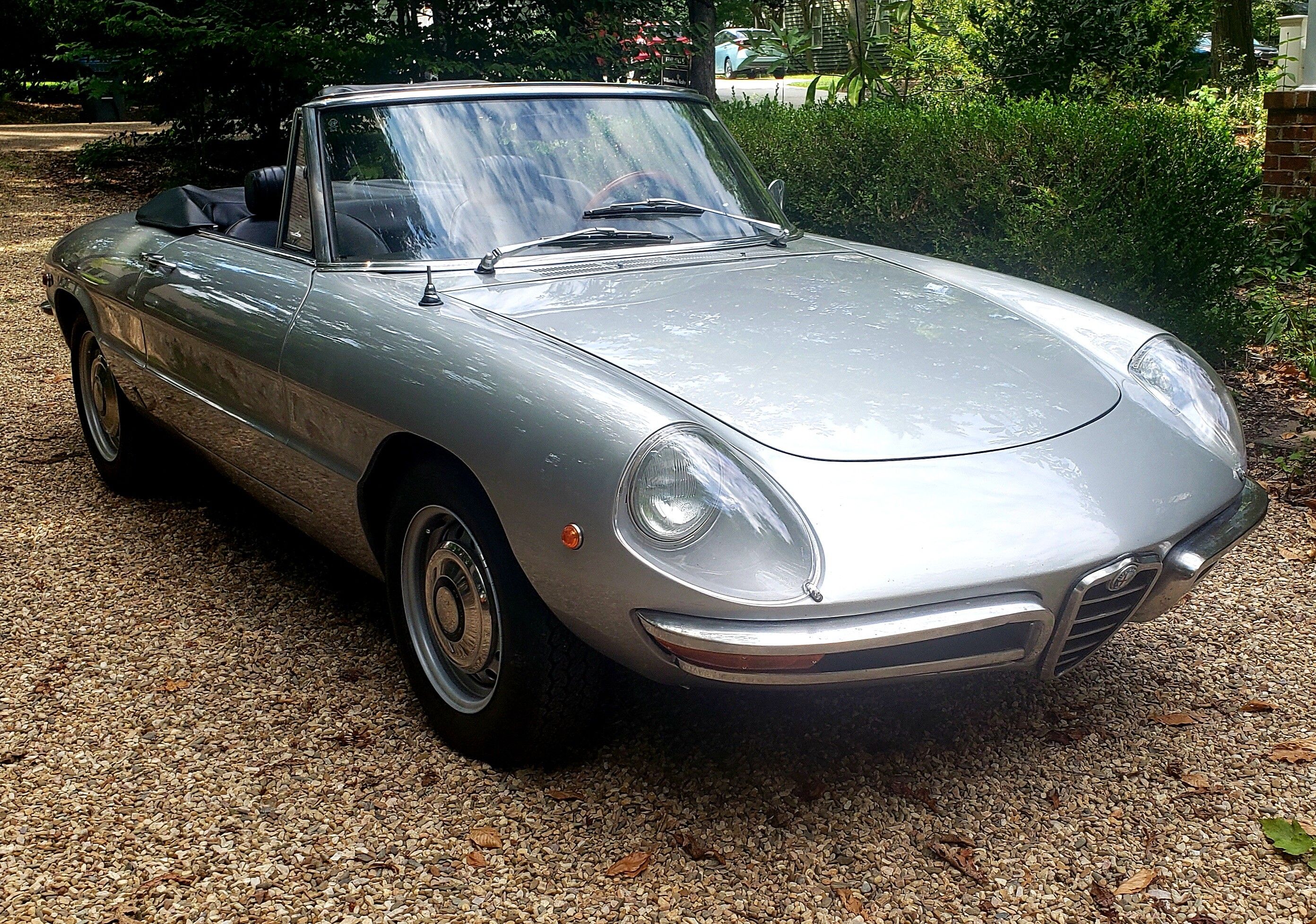 1969 Alfa Romeo Spider